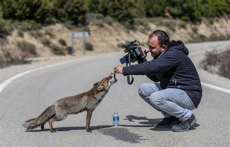 Photos: Animals in the News - The Atlantic