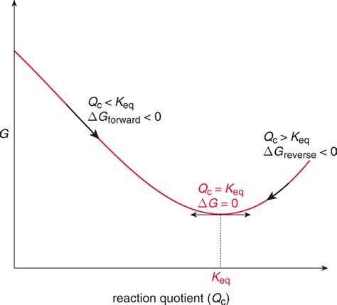 Figure 6.2. Gibbs Free Energy vs. Reaction Quotient