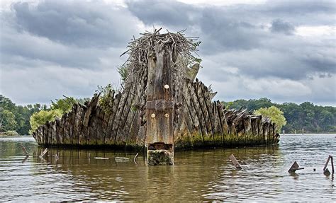 Ship Graveyard At Mallows Bay - Maryland Photograph by Brendan Reals