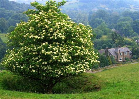 Лучшие фото прекрасных садов и парков / The best photos of beautiful gardens and parks ...