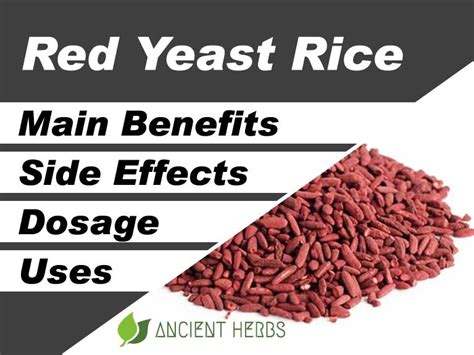 Red Yeast Rice Benefits, Uses, Dosage & Side Effects