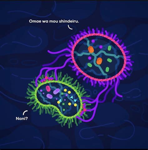 A cell eating another cell (by Kurzgesagt) - 9GAG