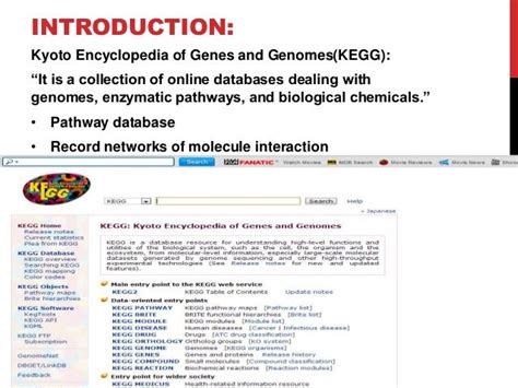 Kegg database resources