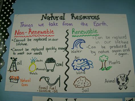 Natural Resources Examples For Kids