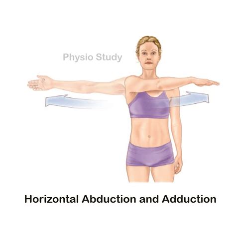 Shoulder Horizontal Abduction And Adduction