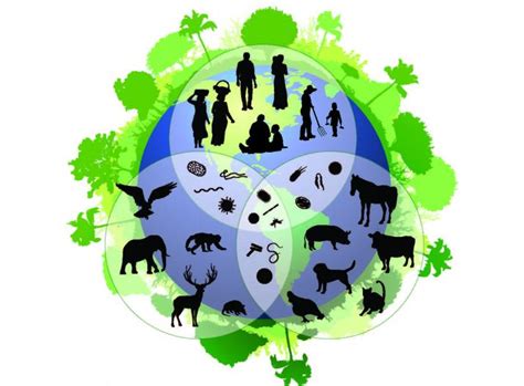 Is Biodiversity Good for Human Health?