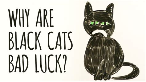 Why Are Black Cats Considered BAD LUCK? - YouTube