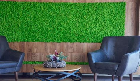 Artificial Grass Wall Design Ideas for Your House!