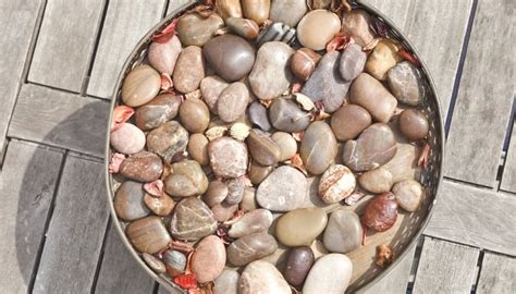 Pebble Tray for Plants: Why They Work & How To Make One