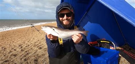 Chesil Beach Cod and Whiting! - Fishing Buzz