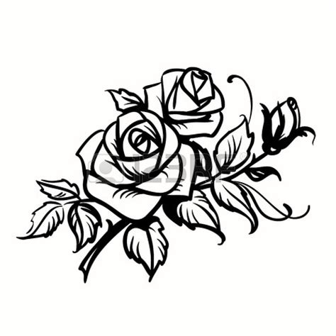 Rose Outline Drawings - ClipArt Best