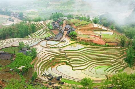 Rice Terraces Photograph by Photo By Sayid Budhi - Fine Art America