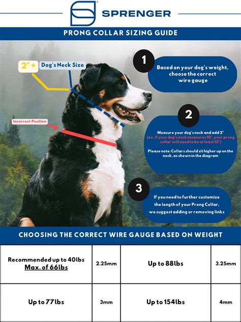 Prong Collar Sizing Guide | Herm. Sprenger USA