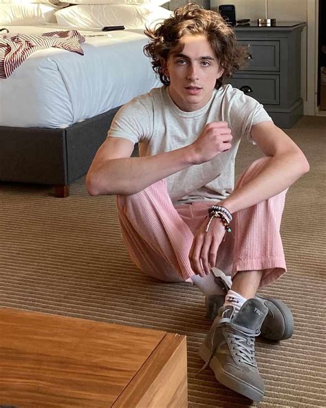 Timothée Chalamet - Wiki, Bio, Facts, Age, Girlfriend, Net Worth