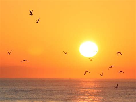 Mostly sunny on Wednesday, with isolated local showers | in-cyprus.com