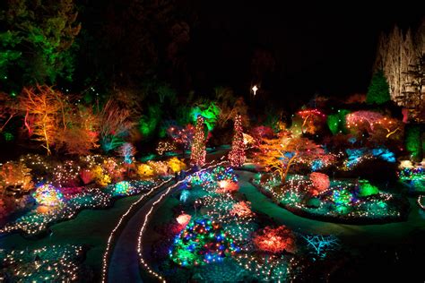 Butchart Gardens Christmas Lights by zikrostag on DeviantArt