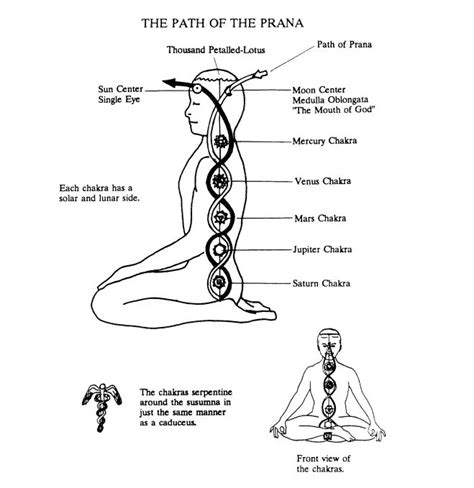 the path of prana - chakra page from The Spiritual Science of Kriya Yoga : Chakras | Kundalini ...