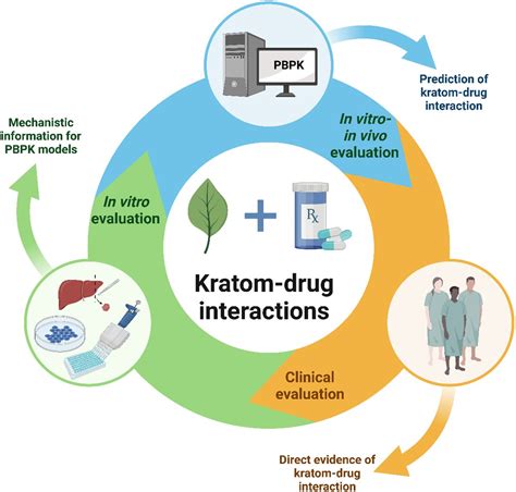 Translating Kratom-Drug Interactions: From Bedside to Bench and Back | Drug Metabolism & Disposition