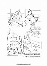 Calf Coloring Page Download Printable PDF  Templateroller sketch template