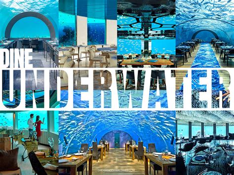 Top 9 maldives underwater restaurant in 2022 | Blog Hồng