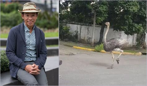 Kuya Kim Atienza ready with trivia on runaway ostrich in QC - Latest Chika