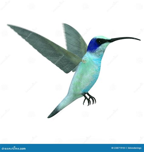 Colibri Bird Flying (blurred Wings) Royalty Free Stock Photos - Image: 23871918