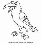 Coloring Pages Crow sketch template