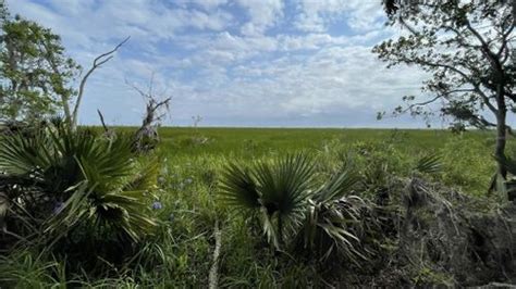 Best Hikes and Trails in Bogue Chitto State Park | AllTrails