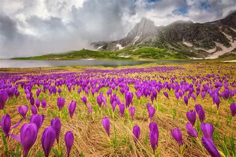 Bulgaria Mountains