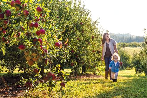 Ohio Apple Orchard Guide