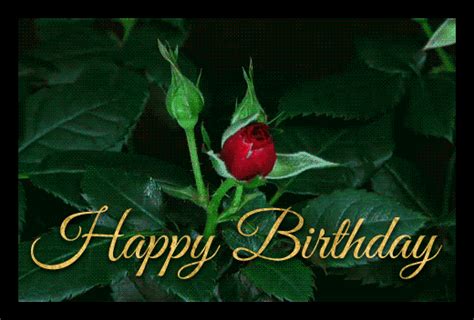 happy birthday flowers gif download - Justina Chisholm