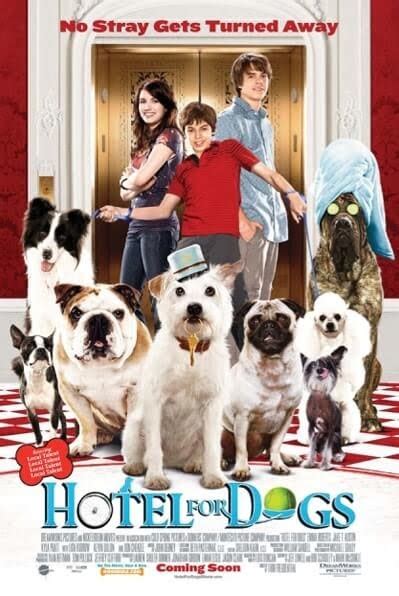 10 Best Dog movies of all time. Comedy, Roamce, Tragic, Drama | PetVet