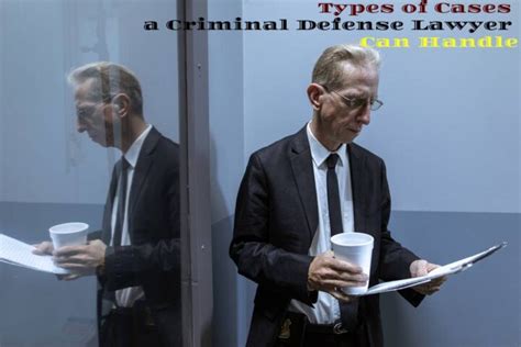 Types of Cases a Criminal Defense Lawyer Can Handle - Areas of My Expertise