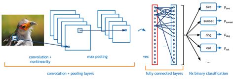 Convolutional Neural Network. Learn Convolutional Neural Network from ...