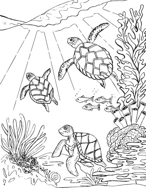 Green Sea Turtle Coloring Page - youngandtae.com | Turtle coloring pages, Animal coloring pages ...