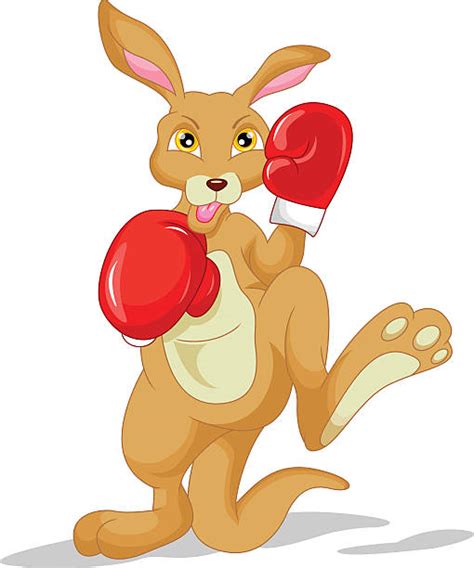 Boxing Kangaroo Cartoon Illustrations, Royalty-Free Vector Graphics & Clip Art - iStock