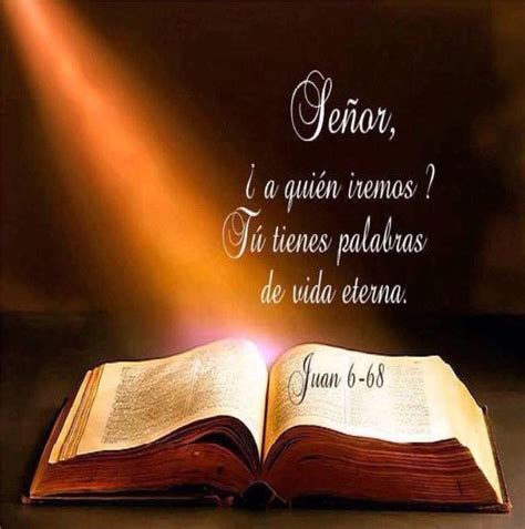 LA PALABRA DE DIOS – Morning Light Ministries International