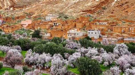 Rose Valley Morocco Festival 2024 - Atlas Trekking Morocco