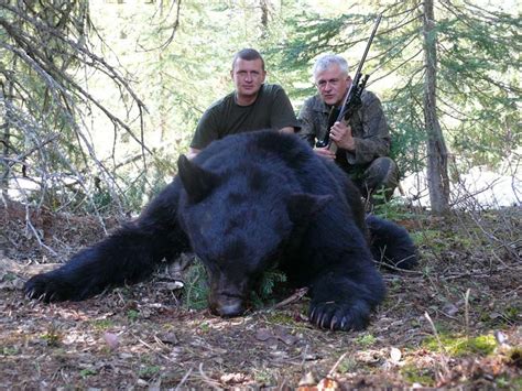 guided-BC-bear-hunt – Total Outdoor Adventures