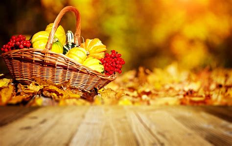 Harvest Autumn Wallpapers - Wallpaper Cave