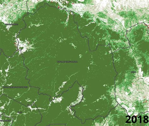 Satellite Data Shows Protected Areas Faced Brunt of Deforestation in 2022 – Andrew Califf