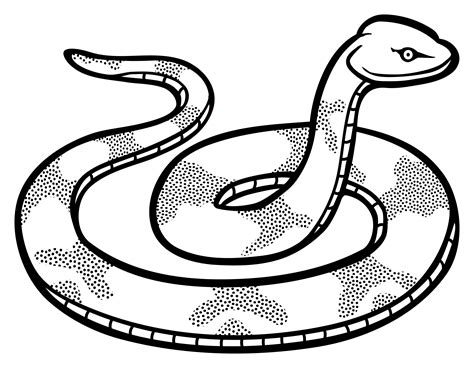 Snake Black And White Clipart | Free download on ClipArtMag