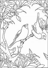 Two Little birds  Bird Coloring Pages For Adults sketch template