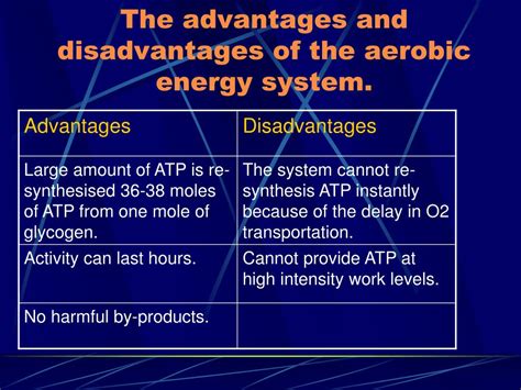 PPT - Lesson 2. Aerobic energy system. PowerPoint Presentation, free ...