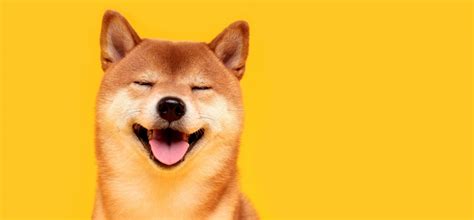 Shiba Inu (SHIB) jump 10% as whale buys 4 trillion coins