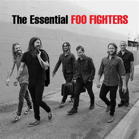 Foo Fighters – The Essential Foo Fighters (Vinyl 2LP) – RetroCrates