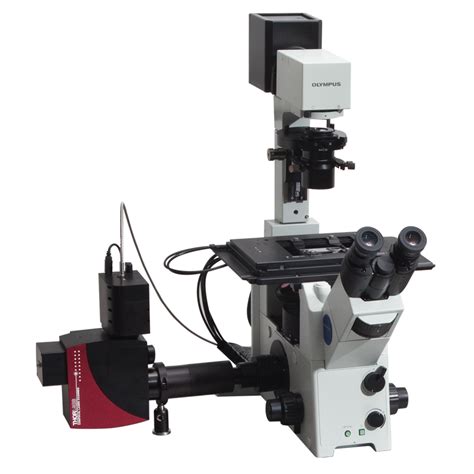 Confocal Microscopy Upgrade