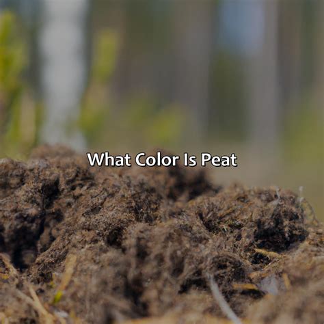 What Color Is Peat - colorscombo.com