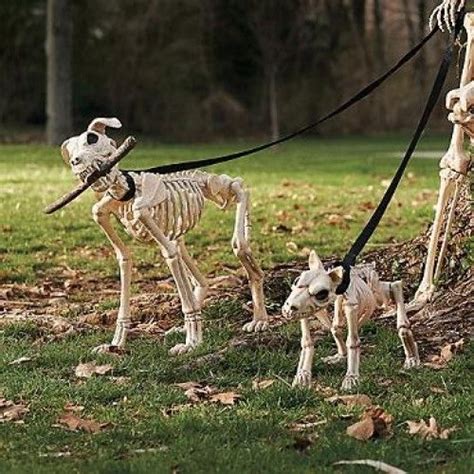 Shadow the Skeleton Dog on Leash Bones Haunted House Prop Pet Scary ...