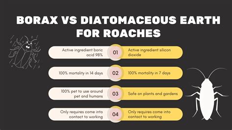 Diatomaceous Earth Vs Borax: Major Difference - GreenRatControl